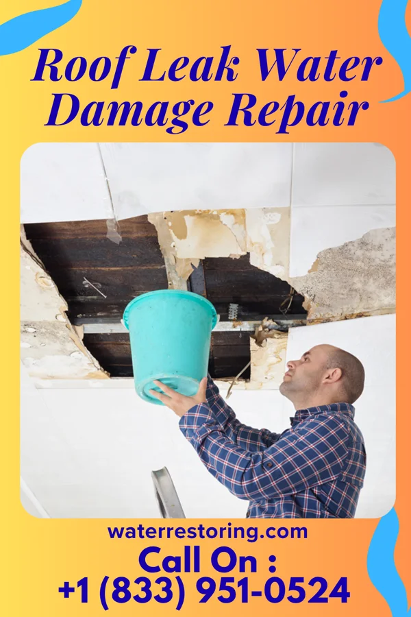 Roof Leak Water Damage Repair in Melrose, WI